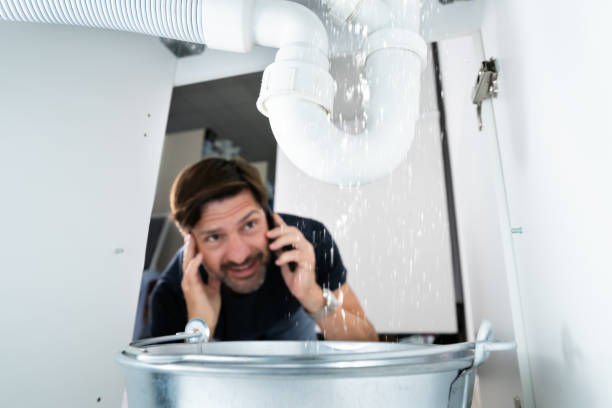 Best Plumbing Inspection Services  in Elmwood, IL